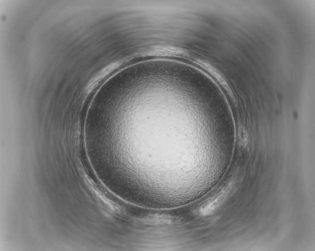 X0000059040437200510101014