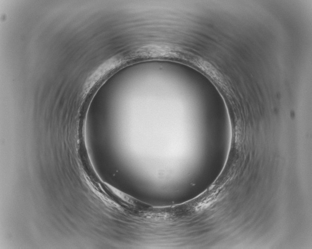 X0000059040438200510101014