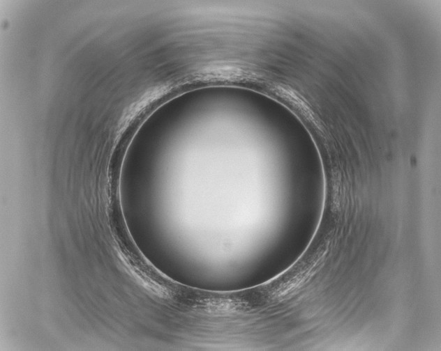 X0000059040439200510101014