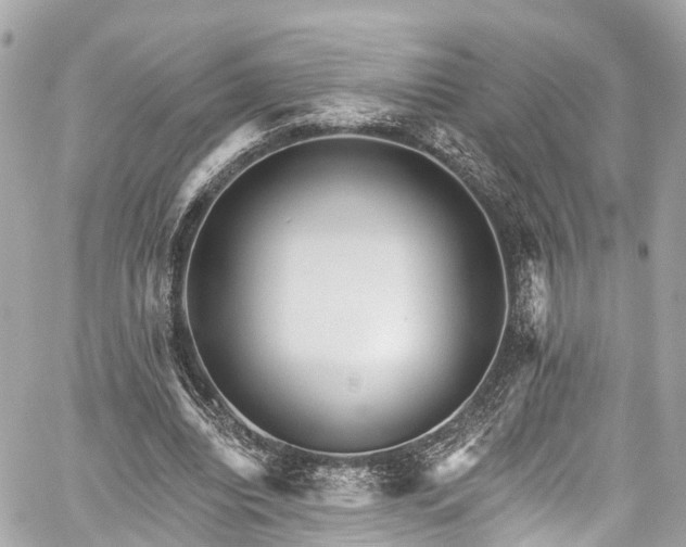 X0000059040440200510101014