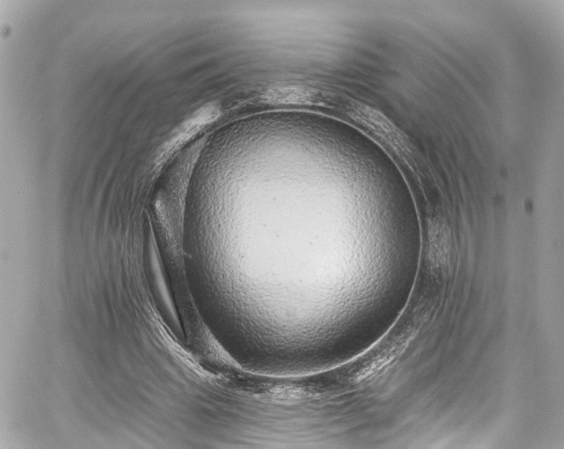 X0000059040441200510101014