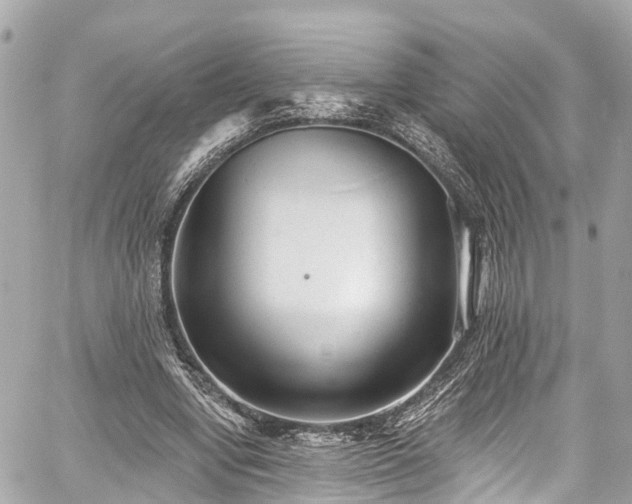 X0000059040442200510101014