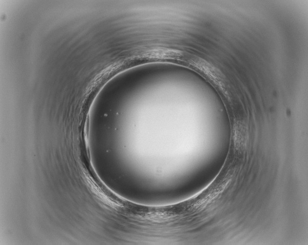 X0000059040445200510101014