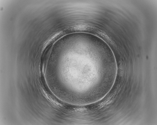 X0000059040446200510101014