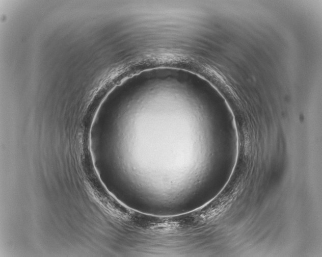 X0000059040447200510101014