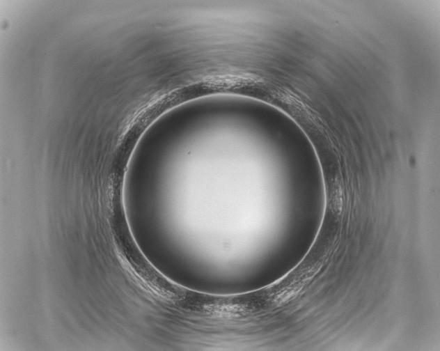 X0000059040448200510101014