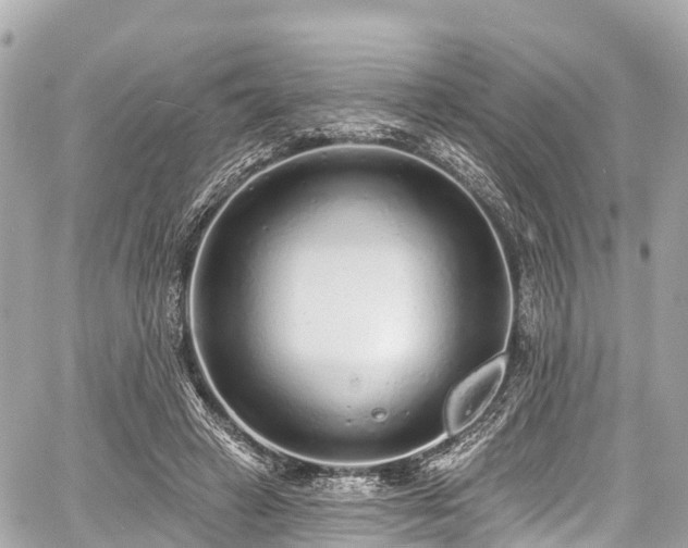 X0000059040449200510101014