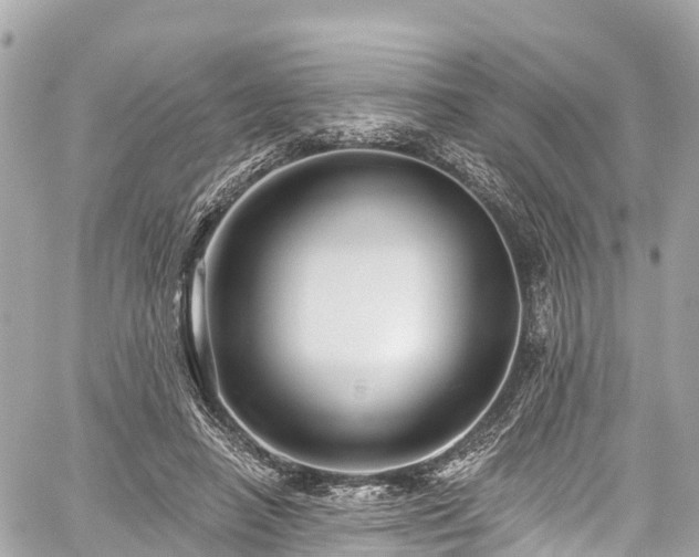 X0000059040450200510101014