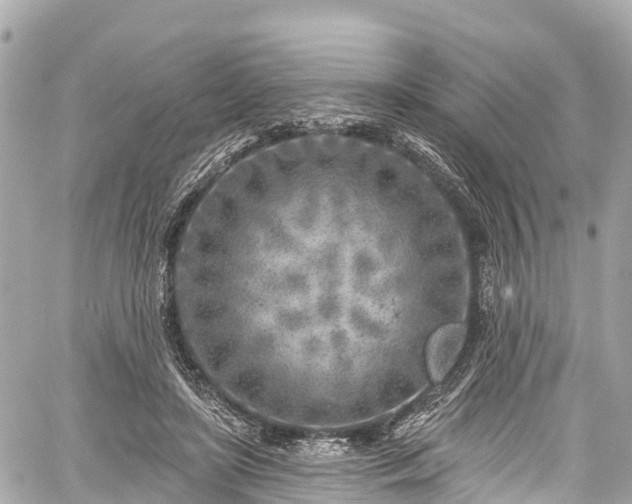 X0000059040451200510101014