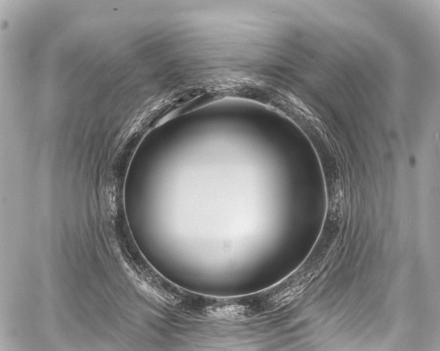 X0000059040452200510101014