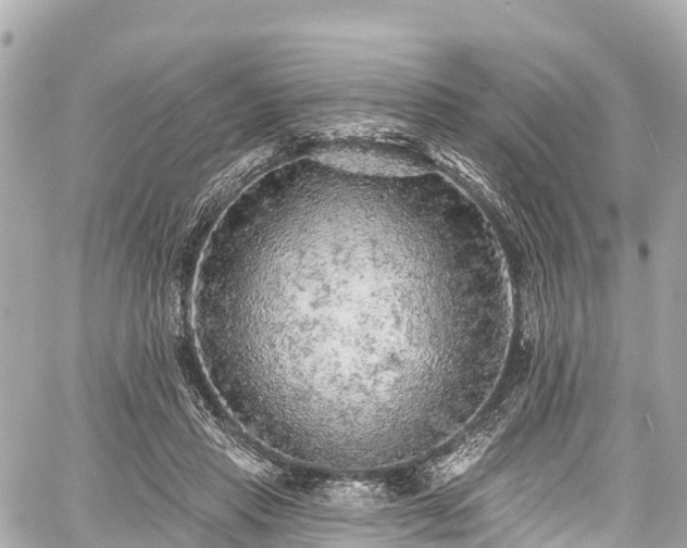 X0000059040453200510101014