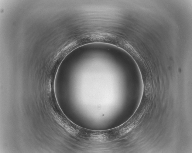 X0000059040454200510101014