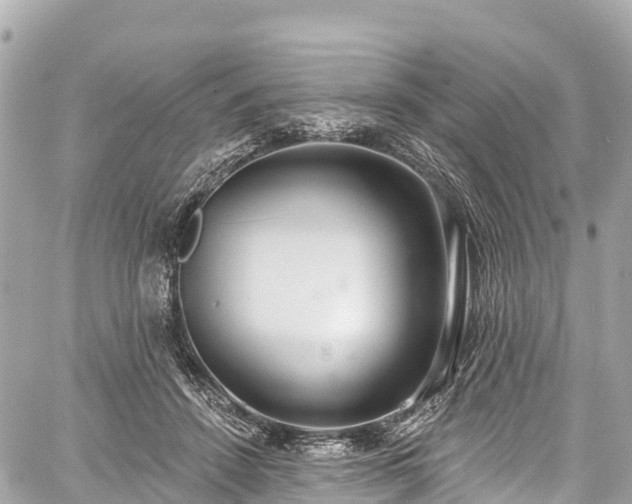 X0000059040456200510101014