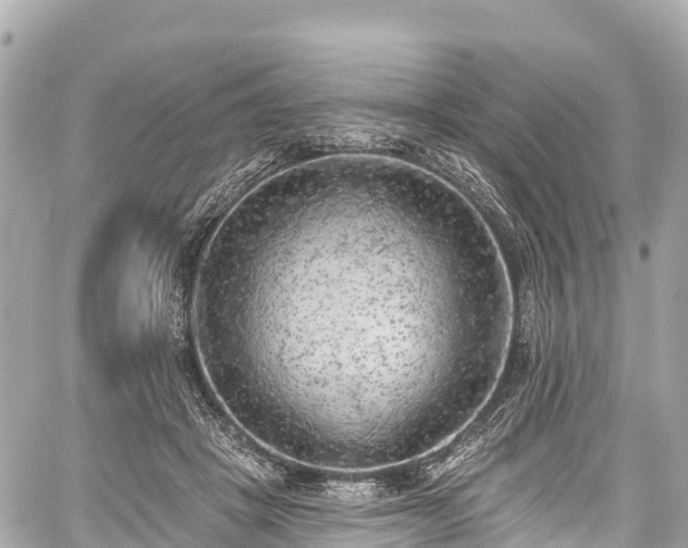 X0000059040457200510101014