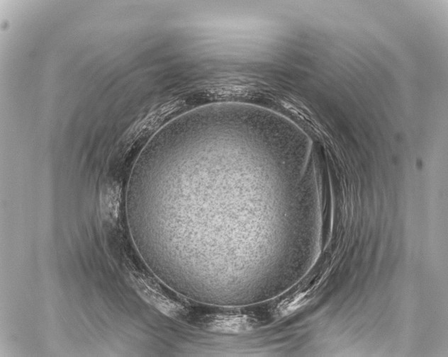 X0000059040458200510101014