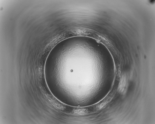 X0000059040461200510101014