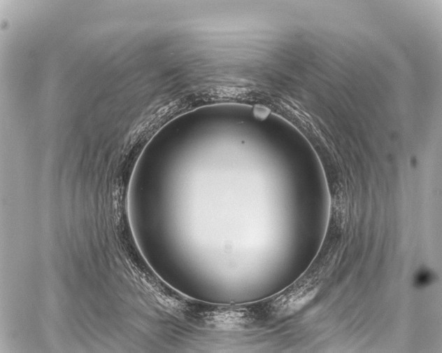 X0000059040462200510101014