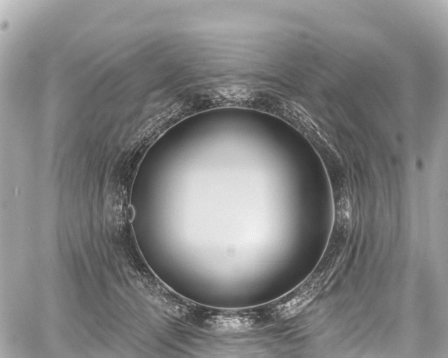 X0000059040464200510101014