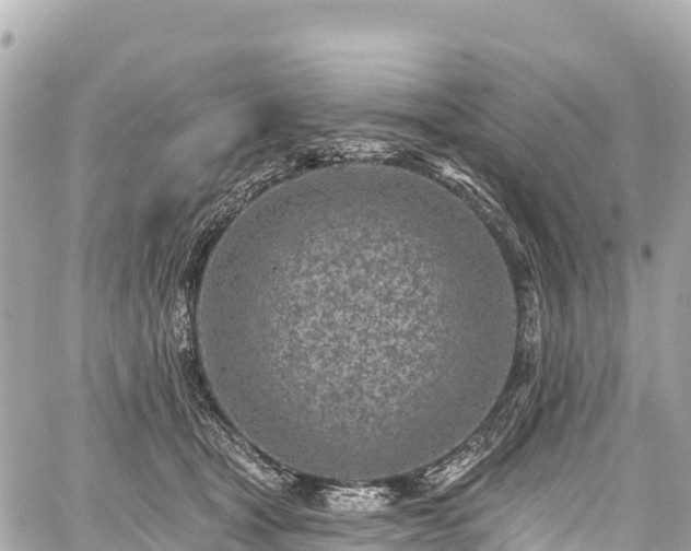 X0000059040465200510101014