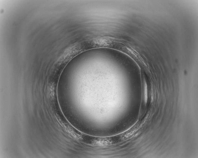 X0000059040466200510101014