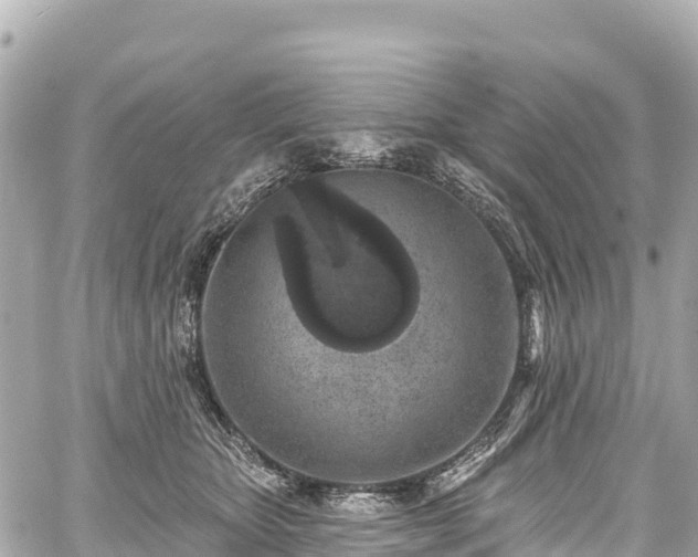 X0000059040467200510101014