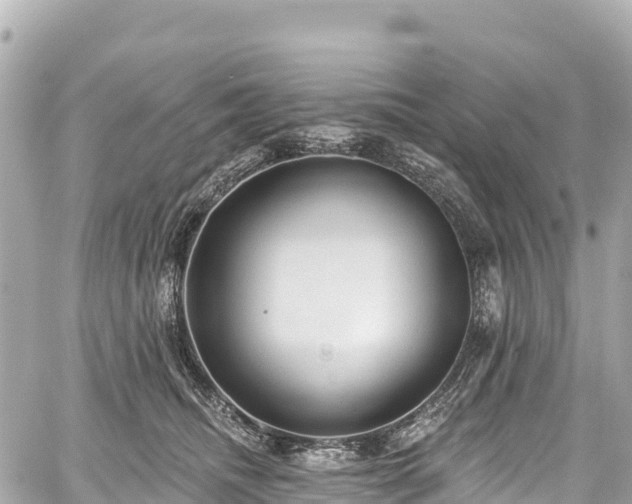 X0000059040468200510101014