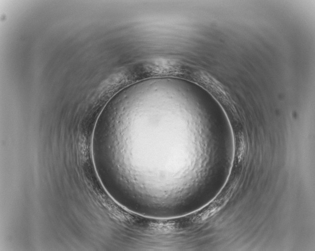 X0000059040469200510101014