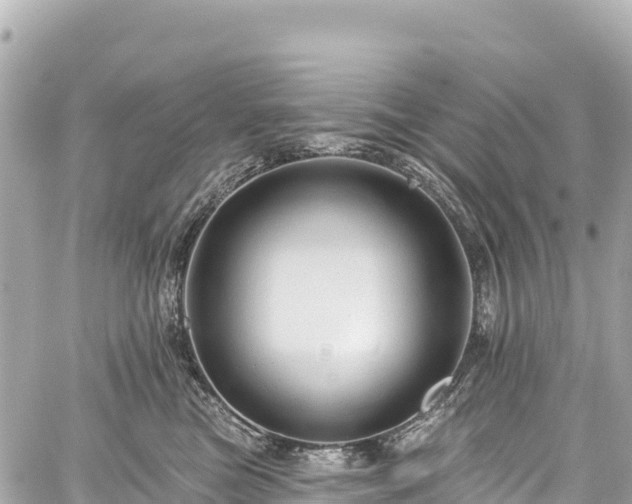 X0000059040473200510101014