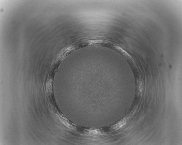 X0000059040475200510101014