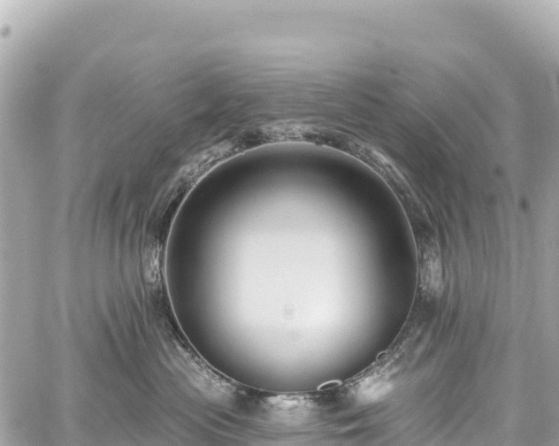 X0000059040477200510101014