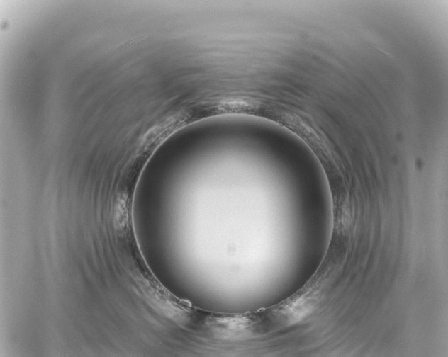 X0000059040478200510101014