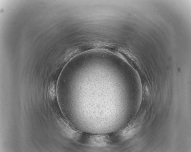 X0000059040479200510101014