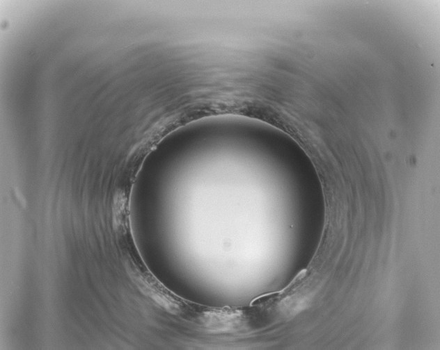 X0000059040480200510101015