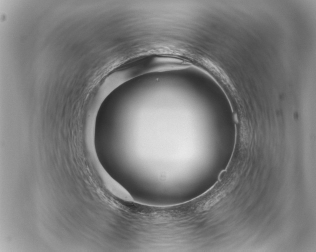 X0000059040481200510101014