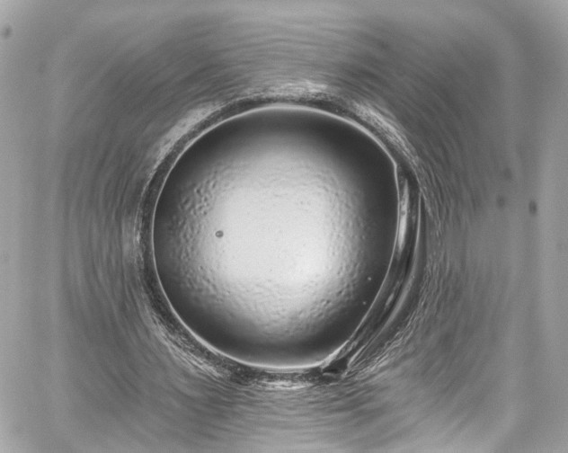 X0000059040483200510101014