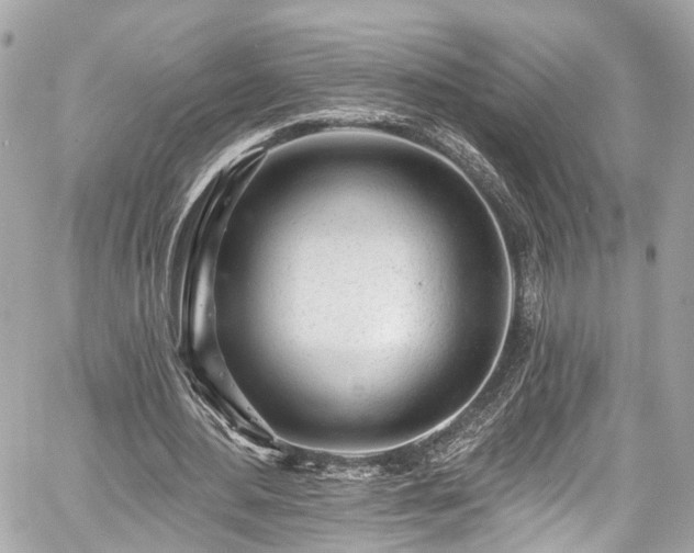 X0000059040484200510101014