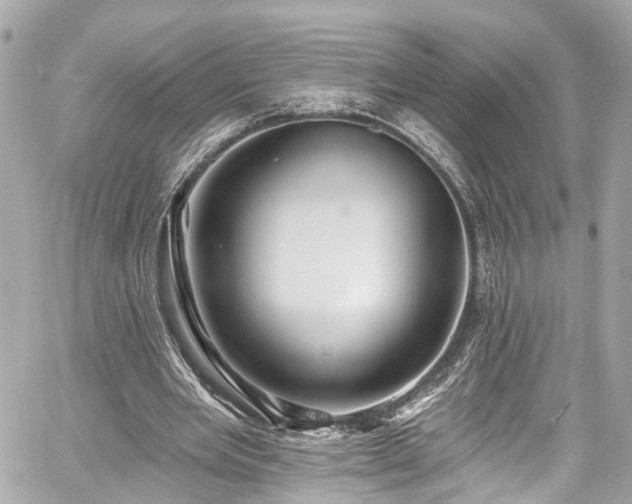 X0000059040485200510101014