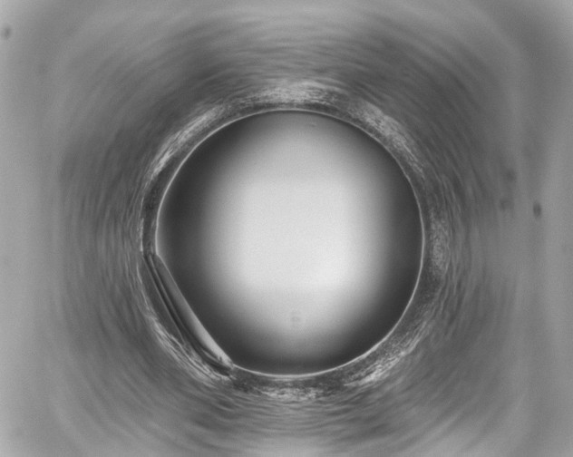 X0000059040486200510101014