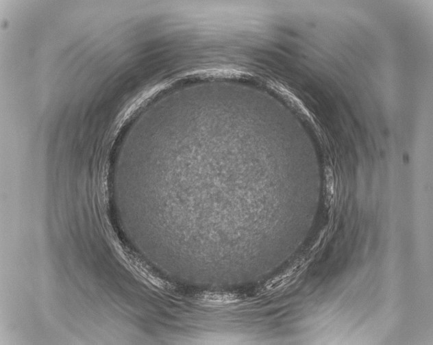 X0000059040487200510101014