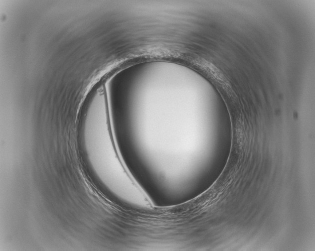 X0000059040488200510101014