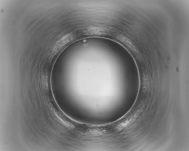 X0000059040489200510101014