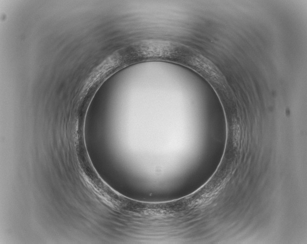 X0000059040490200510101014