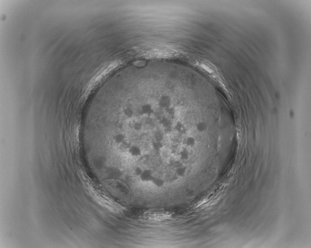 X0000059040491200510101014