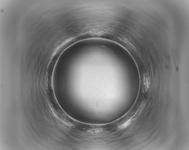 X0000059040492200510101014