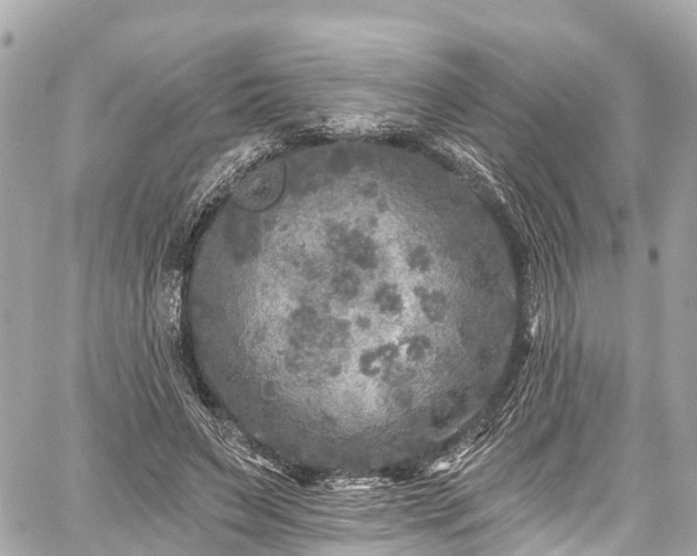 X0000059040495200510101013