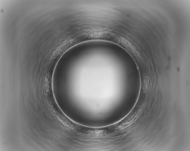 X0000059040497200510101013