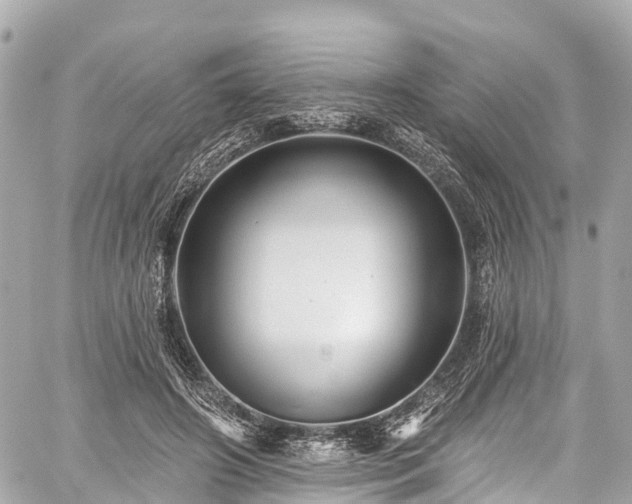 X0000059040498200510101013