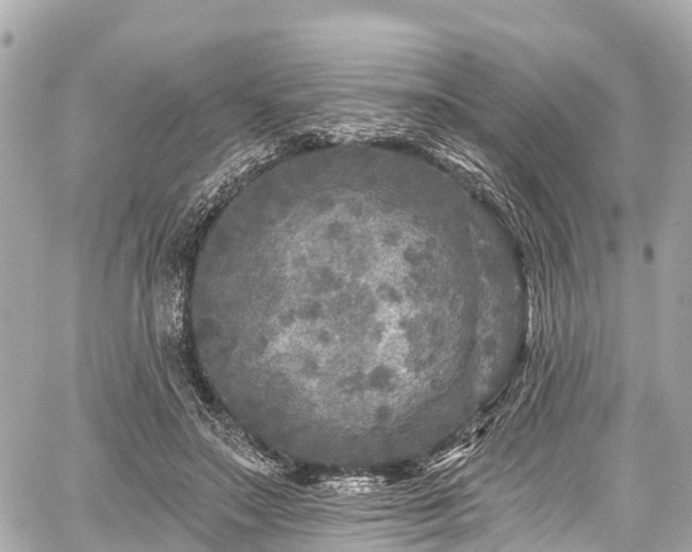 X0000059040499200510101013