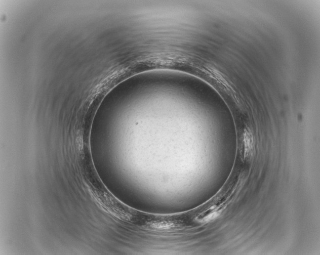 X0000059040500200510101013