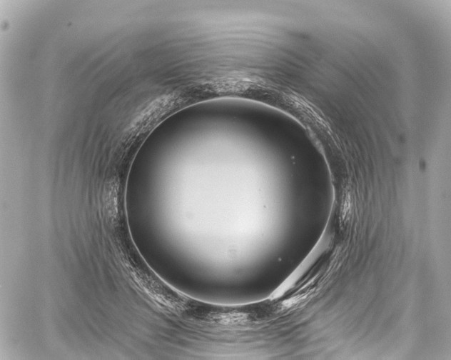 X0000059040501200510101013